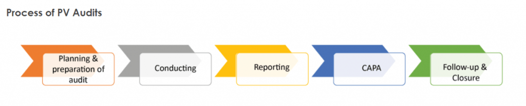 Pharmacovigilance Audit Checklist