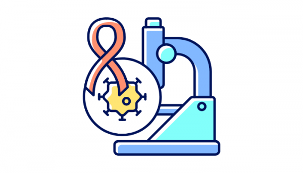 DSUR: All Facts You Need to Know About Development Safety Update ...